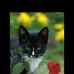 Profile Picture of ADam Ratal (@adam.ratal) on Facebook
