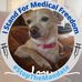 Profile Picture of Michele Holmes (@michele.holmes.9619) on Facebook