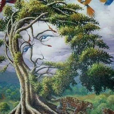 Profile Picture of Hugo. Mazariegos (@HugoMazariegos8) on Twitter