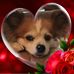 Profile Picture of Annie Goulet (@Annie-Goulet) on Facebook