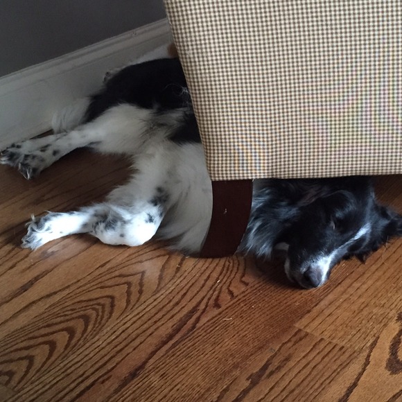 Profile Picture of Kim Barber (@kbarber74) on Poshmark