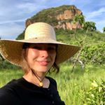 Profile Picture of Carolina R M Vieira (@carolreganinvieira) on Instagram