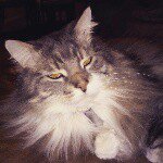 Profile Picture of pullumtamara (@pullumtamara) on Instagram