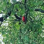 Profile Picture of Wendell Howard (@wendellhoward5) on Instagram