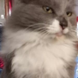 Profile Picture of kimberleyprouty (@kimberley.prouty) on Tiktok