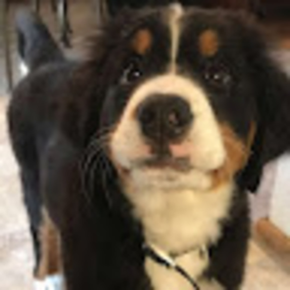 Profile Picture of Isla Isla (@matifye) on Poshmark