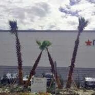 Profile Picture of 𝖂𝖆𝖘𝖊𝖊𝖒 𝕳𝖆𝖎𝖉𝖊𝖗 (@WaseemHaider13) on Twitter