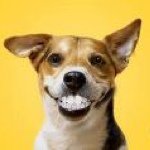 Profile Picture of Vincent Maye (@vincemaye) on Instagram