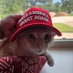 Profile Picture of Casey Weimer (@casey.weimer.5) on Facebook