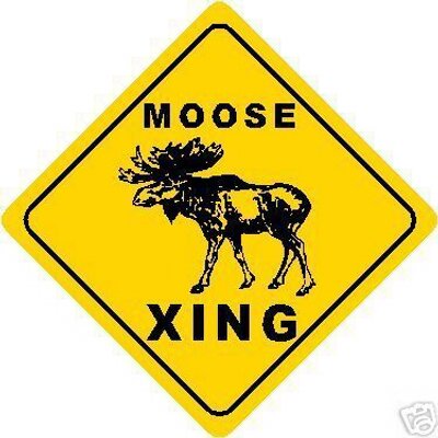 Profile Picture of Mike Boykin (@TheMoose48) on Twitter