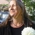 Profile Picture of Peggy Schramm (@monkeyfunpies) on Instagram