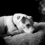 Profile Picture of Alex Starke (@photography_by_alex_starke) on Instagram
