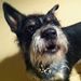 Profile Picture of Jeffrey Clemons (@jeffreyrclemons) on Pinterest