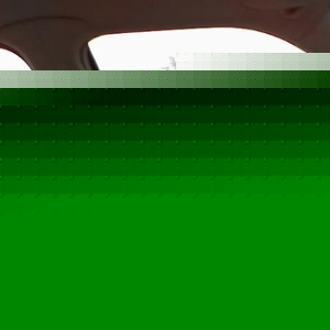 Profile Picture of Jose Martinez (@askmenoqstnsilltelunolies) on Myspace