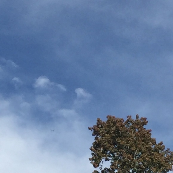 Hannah Goram - Poshmark Profile Picture of Hannah Goram (@hannahfg101) on Poshmark