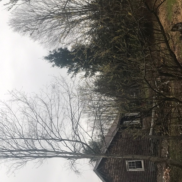 Profile Picture of Madison Windon (@madison_awesome) on Poshmark