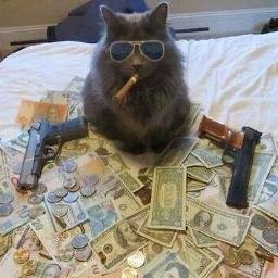 Profile Picture of Daniel Sutton (@KittyWhisker00) on Twitter