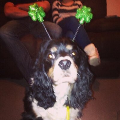 Profile Picture of Janet Marsden (@marsden_janet) on Twitter