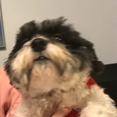 Profile Picture of Rebecca Kilaya Beth Irvine (@RZ2467) on Twitter