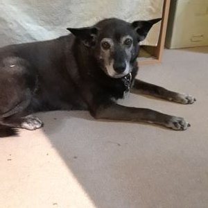 Profile Picture of Steven Ranieri (@StevenRanieri2) on Twitter