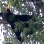 Profile Picture of Jeff Dressler (@TheSouthernDragon) on Facebook