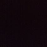 Profile Picture of Shannon Forrester (@akilababd) on Instagram