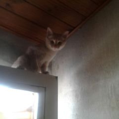 Profile Picture of Rex Gonzalez (@RexGonzalez11) on Twitter