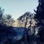 Profile Picture of Jo Weaver (@weaverjojo1) on Instagram