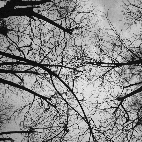 Profile Picture of Montana Mcbroom (@tanarain) on Poshmark