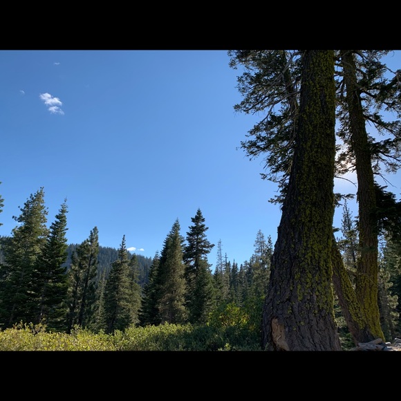 Victoria Prestella - Poshmark Profile Picture of Victoria Prestella (@vicky1477) on Poshmark