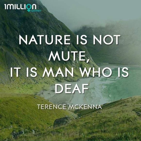 Profile Picture of Pam Belleville (@pdbville) on Poshmark