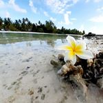 Profile Picture of Iris Salomon (@imirisoff) on Instagram