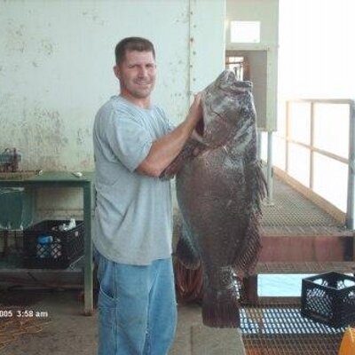 Profile Picture of Andy Scadlock (@flightjunkie) on Twitter