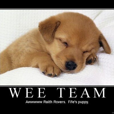 Profile Picture of Colin Steen (@colinsteen) on Twitter