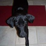 Profile Picture of Zachariah Harris (@thisiszach4883) on Instagram