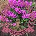 Profile Picture of Luis A Cisneros (@luis.a.cisneros.94) on Facebook