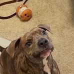 Profile Picture of Michael Kanada (@michael.kanada.2025) on Facebook