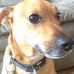 Profile Picture of Buddy Hooker (@buddy.hooker.7) on Facebook
