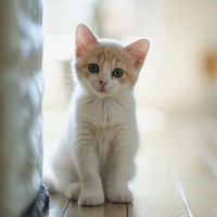 Profile Picture of Kate Finn (@kate-finn-22) on Quora