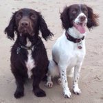 Profile Picture of Darin Stone (@darinstone3cb4) on Instagram