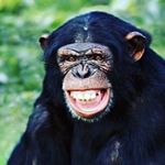 Profile Picture of Max Brady (@maxxamb150) on Instagram