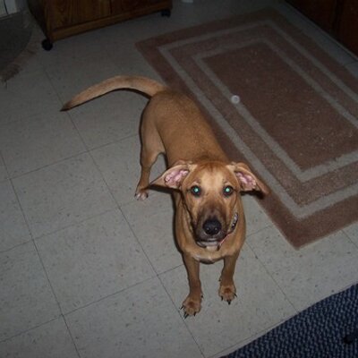 Profile Picture of Mike Minarik (@M_and_M_Man) on Twitter