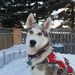 Profile Picture of noellen bollozos (@nbollozos) on Pinterest