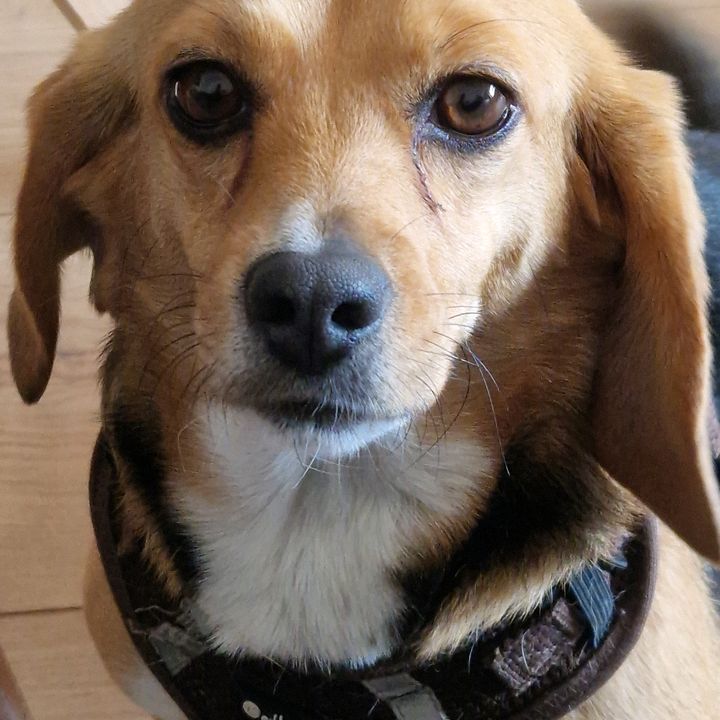 Profile Picture of simon (@simonscherfling) on Tiktok