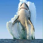 Profile Picture of carlos alberto marcelo gutierr (@marcelogutierrezc976) on Instagram