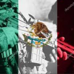 Profile Picture of danielarciga3 (@danielarciga3) on Tiktok