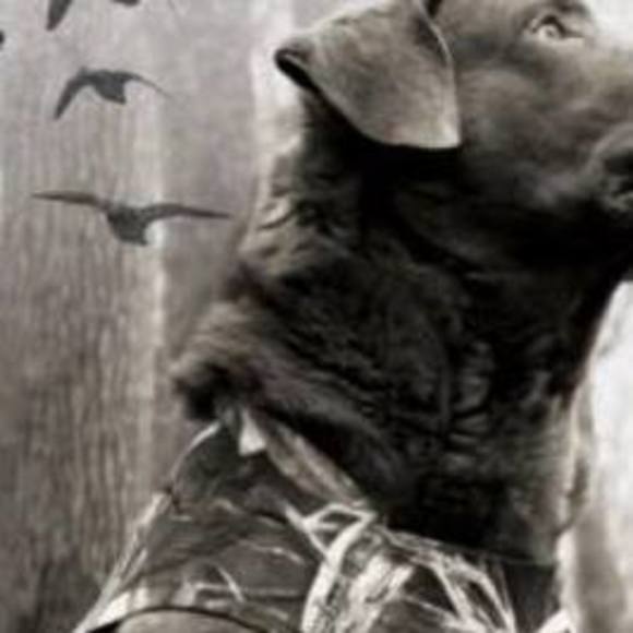 Profile Picture of Bruce Chapman (@sbfgbc7590) on Poshmark