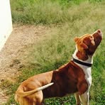 Profile Picture of Adrié Ortl (@adrie.ortl) on Facebook