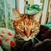 Profile Picture of Annie Plaster (@annie.plaster.52) on Facebook