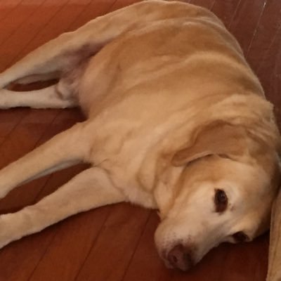 Profile Picture of Ken Dockery (@ken_dockery) on Twitter
